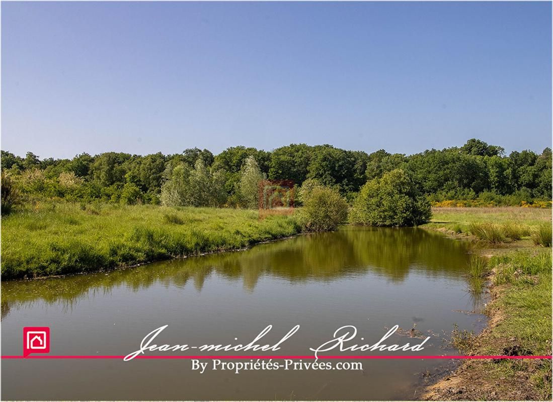 CONTRES Terrain Le Controis En Sologne 101030 m2 3