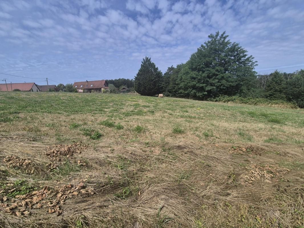 SAINT-USUGE Terrain de 3163m² à Saint Usuge 1
