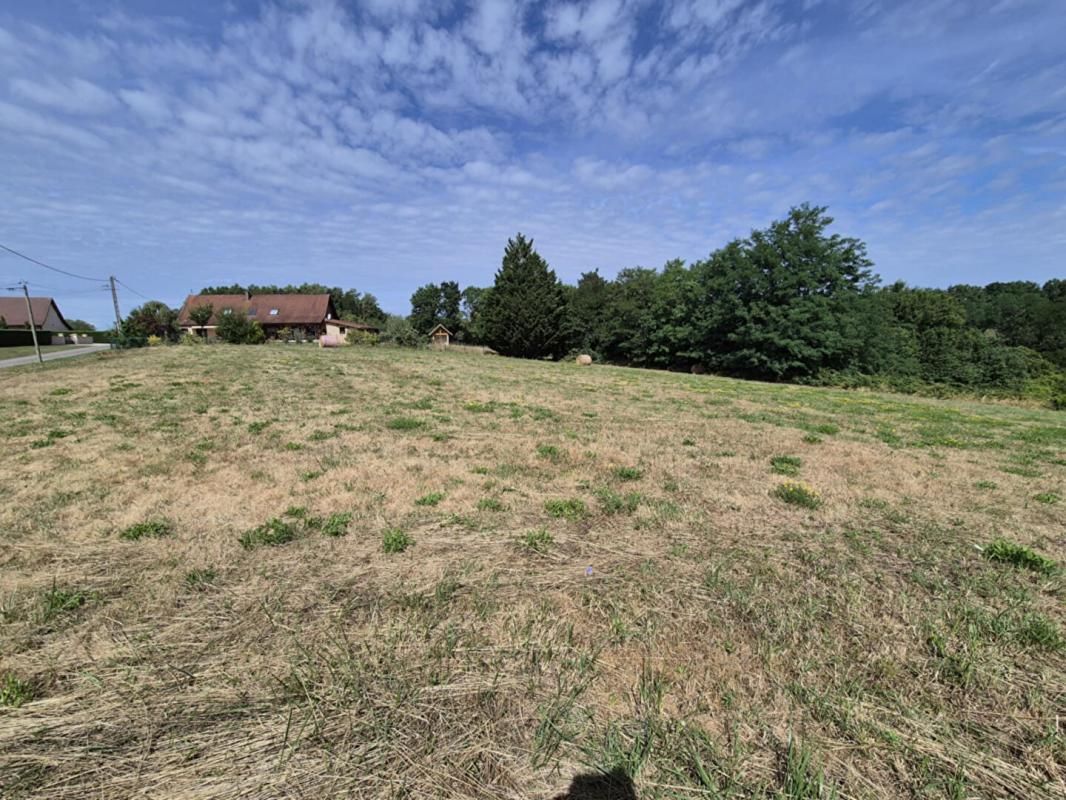 SAINT-USUGE Terrain de 3163m² à Saint Usuge 2
