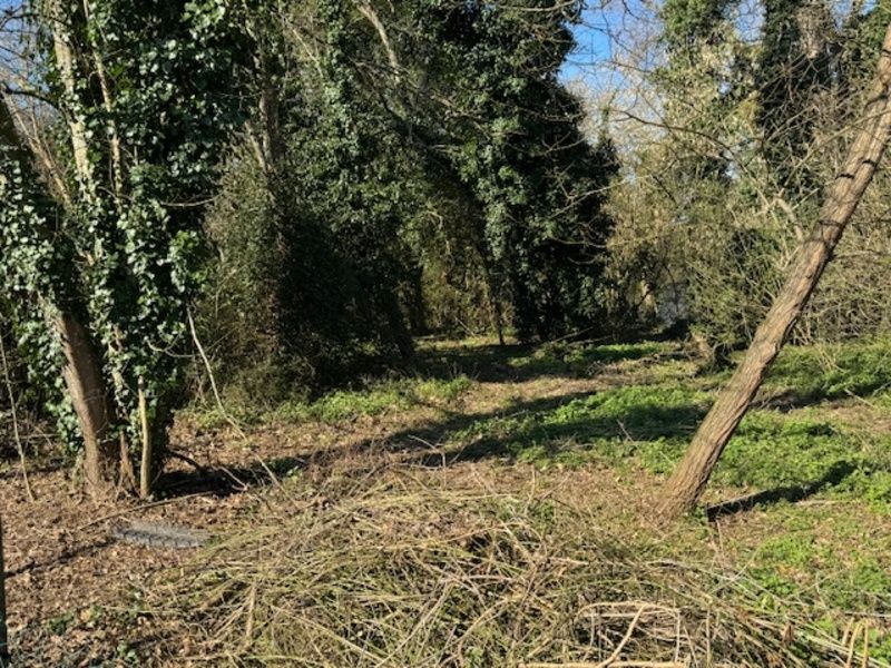 SAINT-PEY-DE-CASTETS ENTRE RAUZAN ET CASTILLON 2