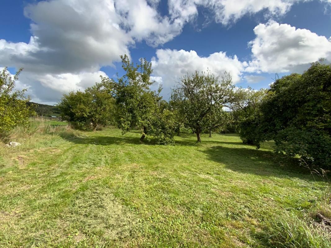 BULGNEVILLE Maison 8 pièce(s) 237 m2 2