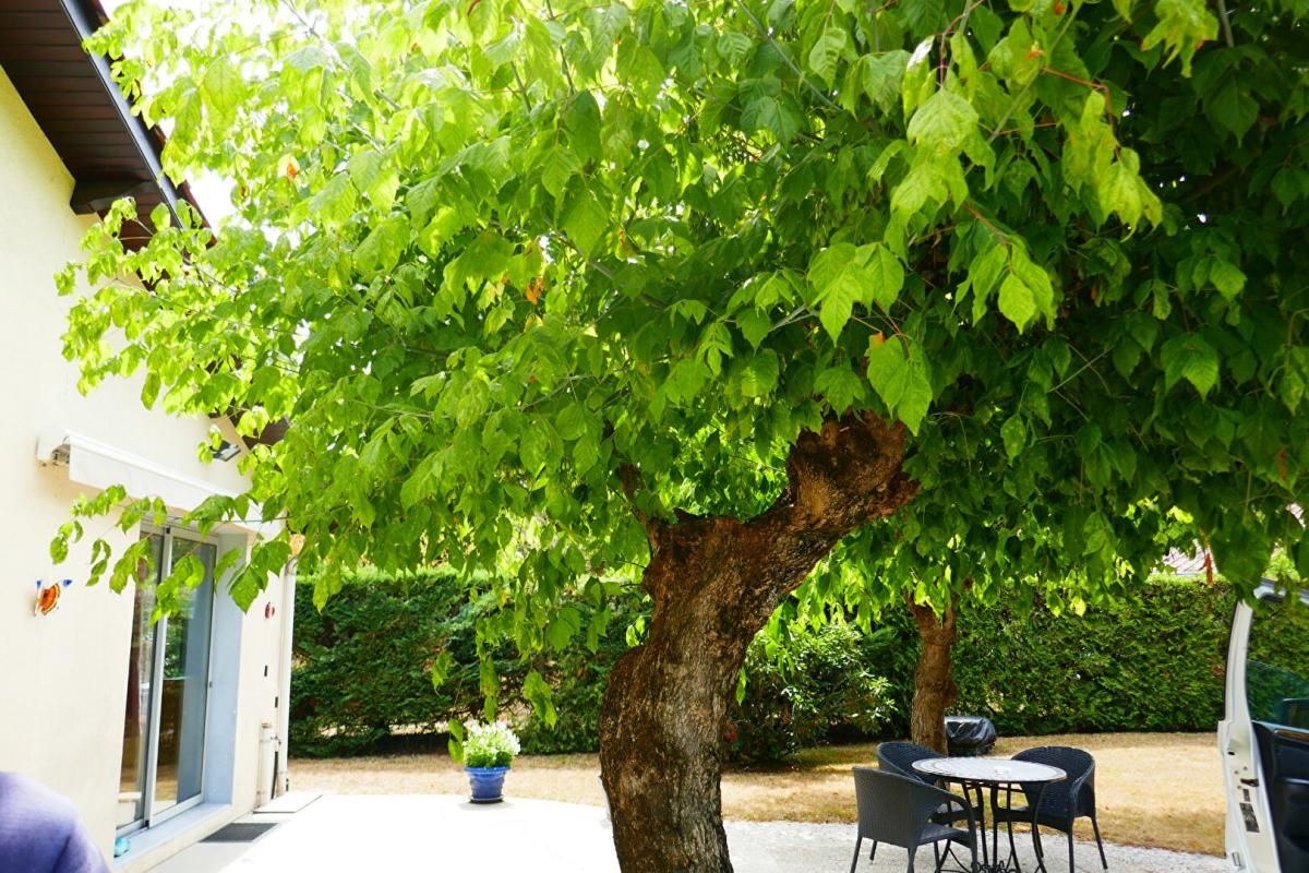PESSAC Pessac Maison de plain-pied 4 chambres deux garages avec jardin arborée grand potentiel 2