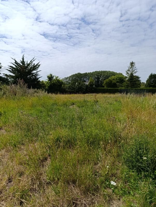 FREHEL À vendre Terrain constructible de 1200 m² 3