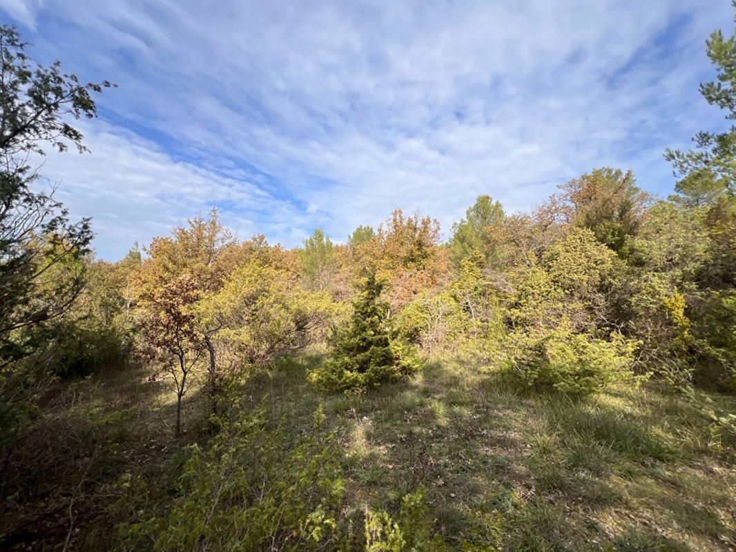 RIANS RIANS Terrain boisé de loisirs de 2855 m² 1