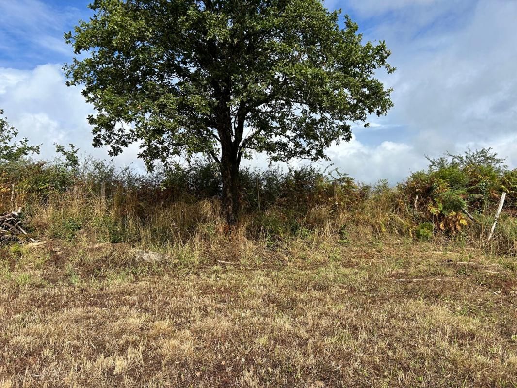VUE Terrain constructible de 1306 m2 à Vue 3