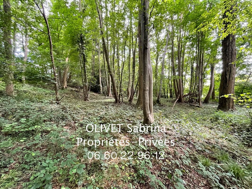 QUINCAMPOIX Une parcelle boisée 2