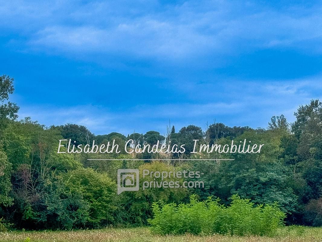 SAINT-SULPICE-SUR-LEZE TERRAIN Viabilisé - SHON 50% - Idéal maison + activité professionnelle 1