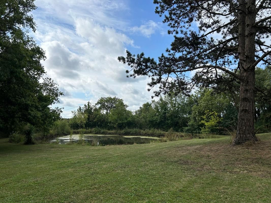 SAINT-JEAN-DE-BOISEAU Propriété avec maison de 184M2 sur parc paysager de 9244M2 3