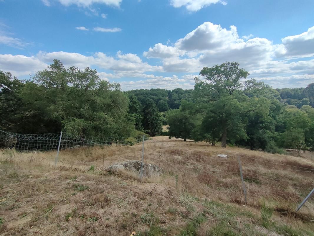 MORTAGNE-SUR-SEVRE Maison Mortagne sur Sèvre 5 pièces 101 m2 4
