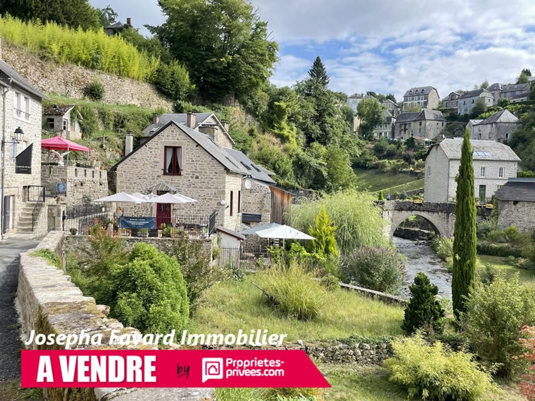 TREIGNAC Ensemble à Treignac  4 Propriétés et Berges sur la Vézère 2