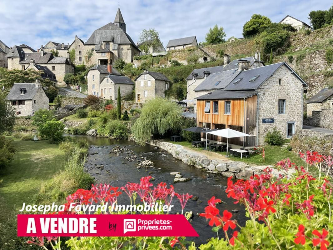 TREIGNAC Ensemble à Treignac  4 Propriétés et Berges sur la Vézère 3