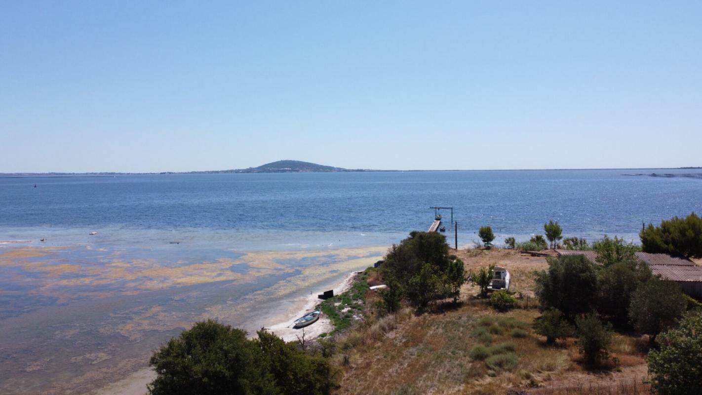 MEZE Propriété d'exception avec vue panoramique sur l'étang de Thau - Mèze 3