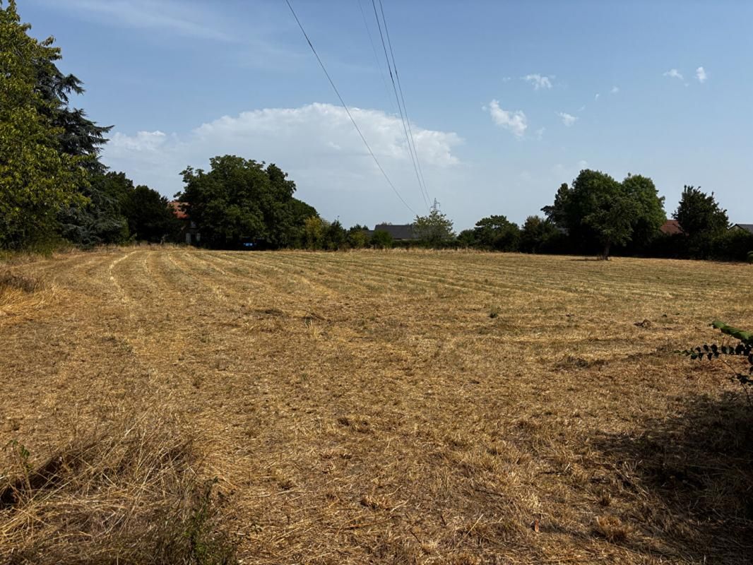 VARENNES-VAUZELLES Varennes Vauzelles : SuperbeTerrain à bâtir avec vue dégagée 7339 m2 1