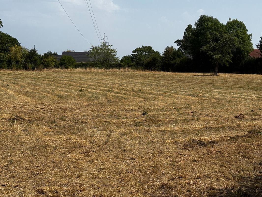 VARENNES-VAUZELLES Varennes Vauzelles : SuperbeTerrain à bâtir avec vue dégagée 7339 m2 2