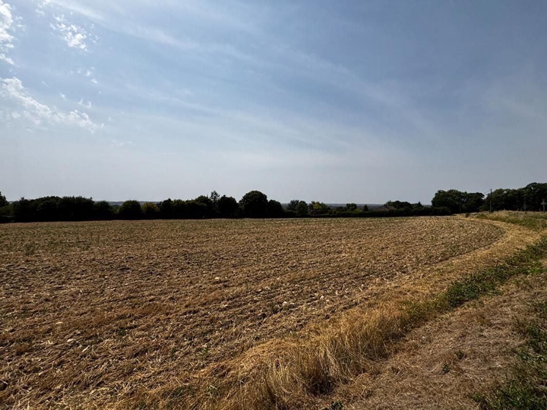 VARENNES-VAUZELLES Varennes Vauzelles : SuperbeTerrain à bâtir avec vue dégagée 7339 m2 4