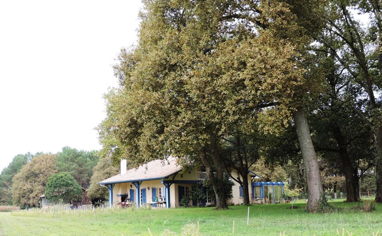 TARTAS Posée sur airial, landaise avec grange et spa 2