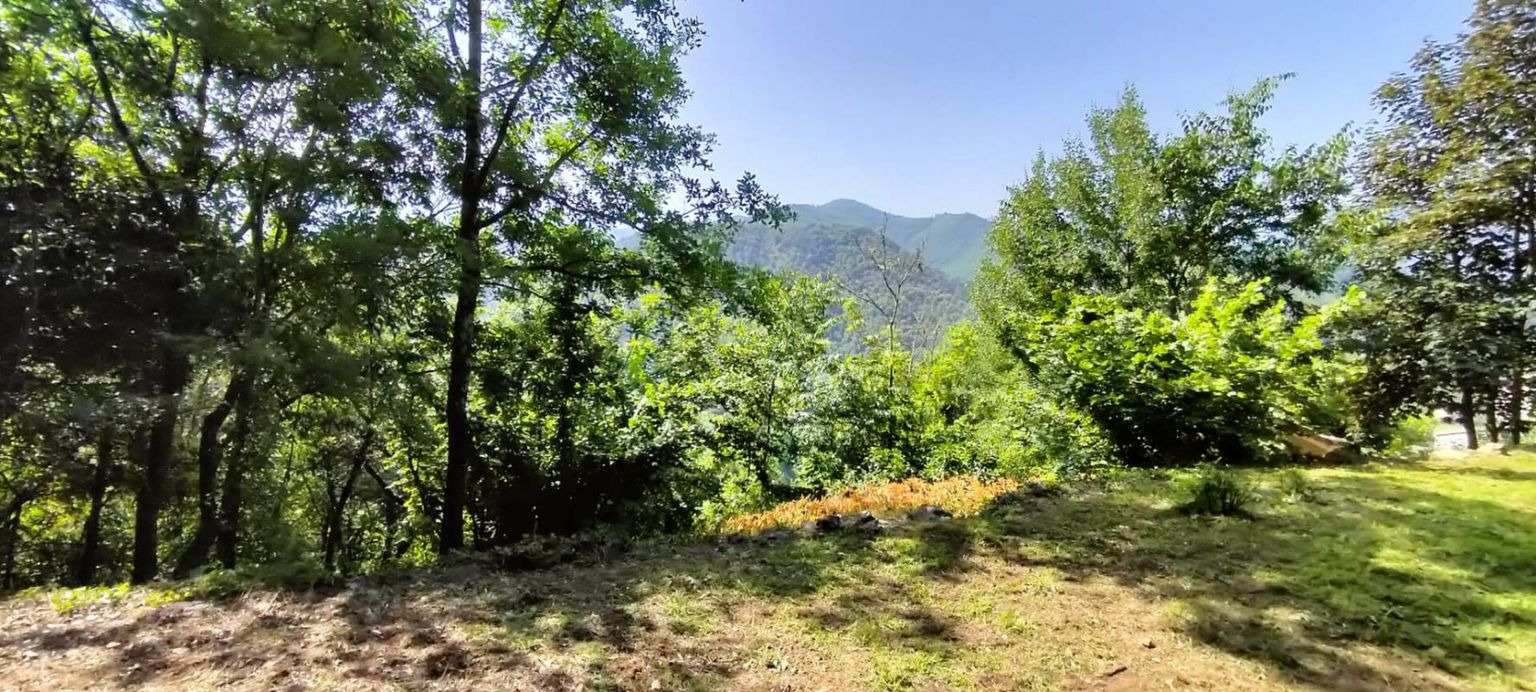 LE VIGAN Terrain Le Vigan 1270 m2 2