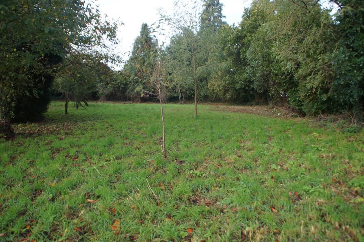 CARO Terrain Caro 1000 m2 1