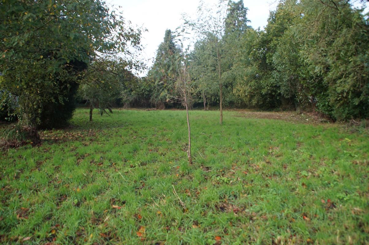 CARO Terrain Caro 1000 m2 3