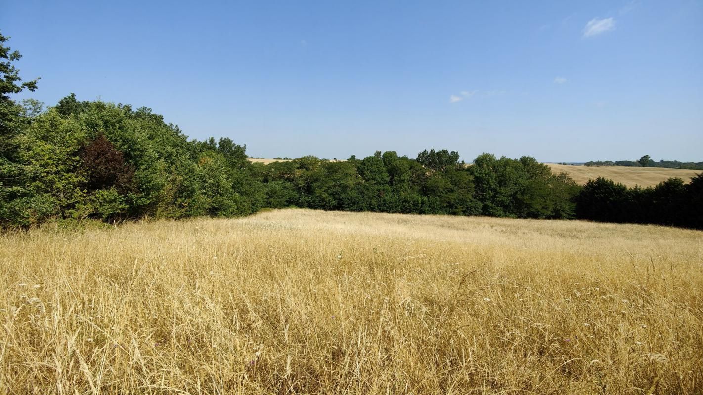 À VENDRE MAISON T4 CONTEMPORAINE SUR TERRAIN JUSQU'À 9000 m²