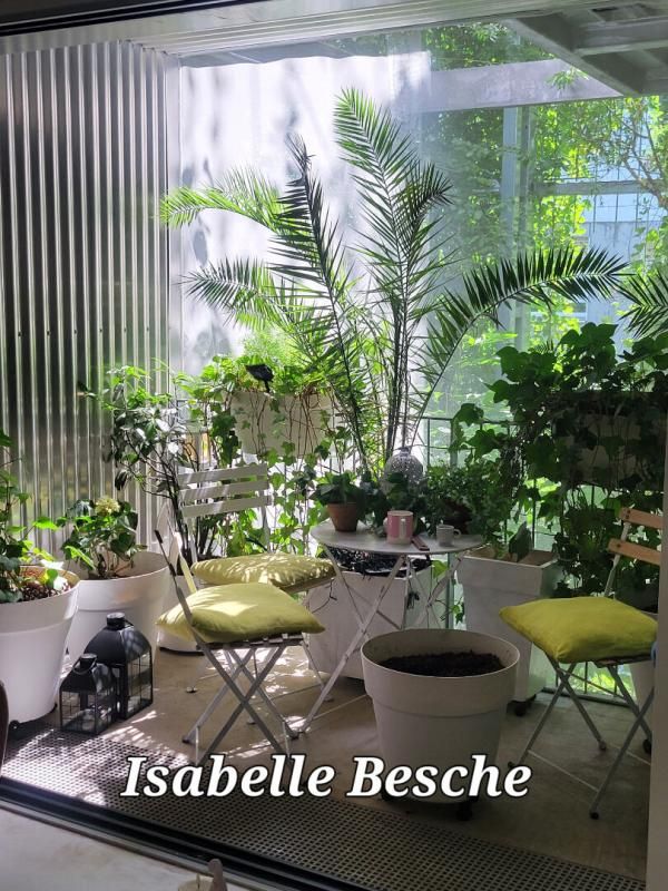 BORDEAUX Ambiance tropicale pour ce magnifique T2 avec balcon 4