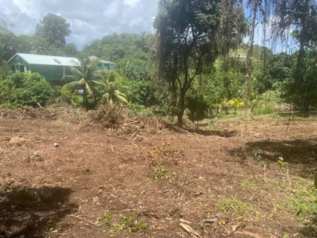 Terrain  1628 m2