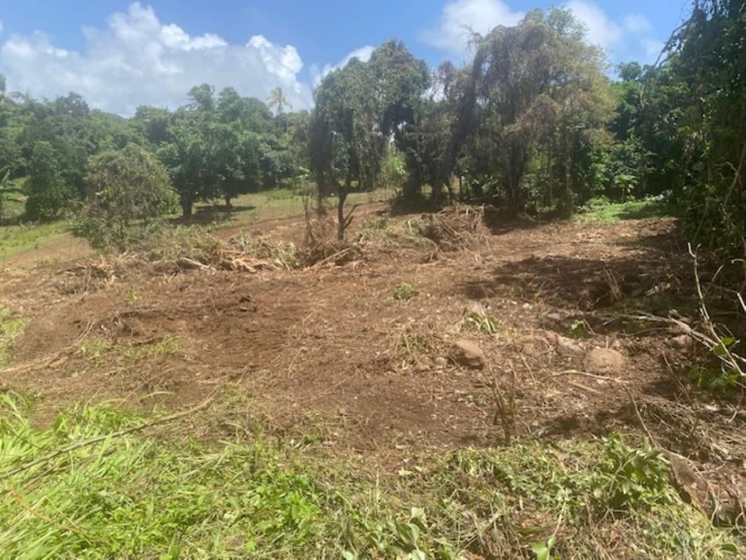 LE MARIN Terrain 1628 m2 2