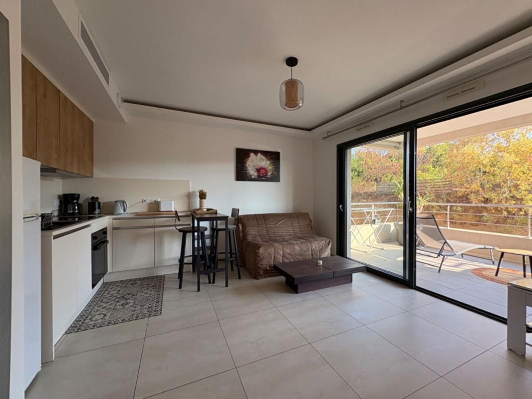 AJACCIO AGREABLE T1 AVEC GRANDE TERRASSE AU MILELLI 1