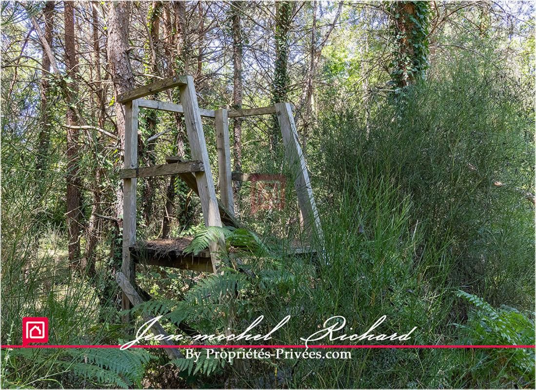 Terrain Gy En Sologne 56630 m2