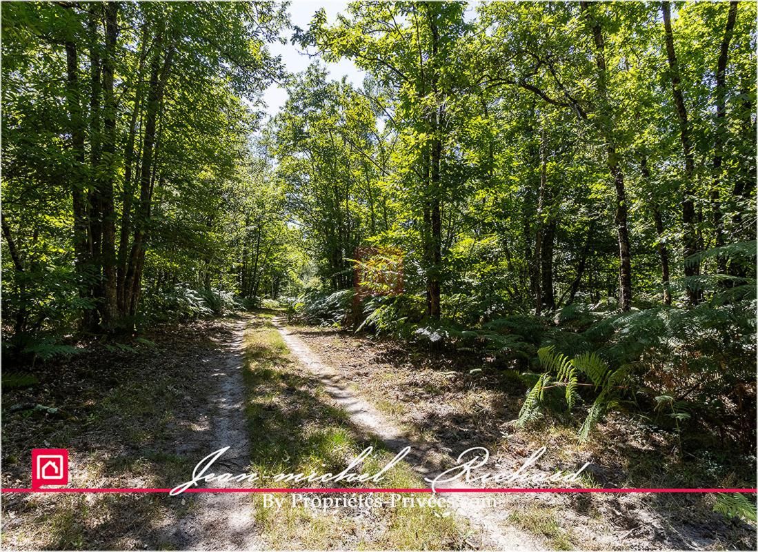GY-EN-SOLOGNE Terrain Gy En Sologne 56630 m2 3
