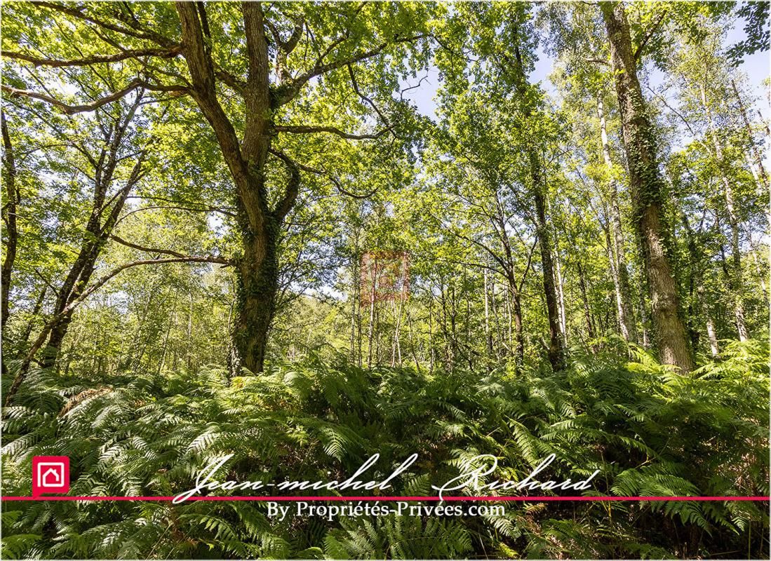 GY-EN-SOLOGNE Terrain Gy En Sologne 56630 m2 4