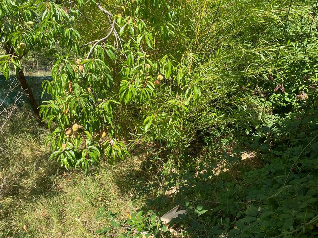 BELABRE Maison Belabre 3 pièce(s) 52 m2 3