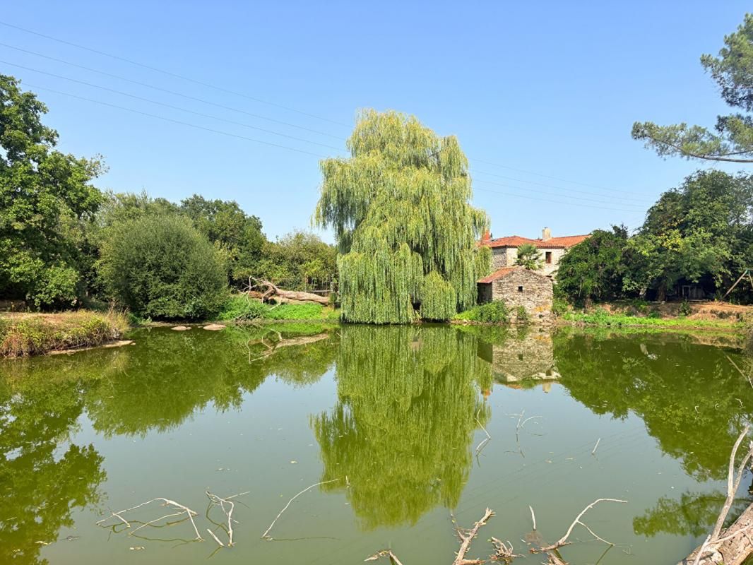 CUGAND Maison 145 m² - Étang privé - Grand jardin - 1