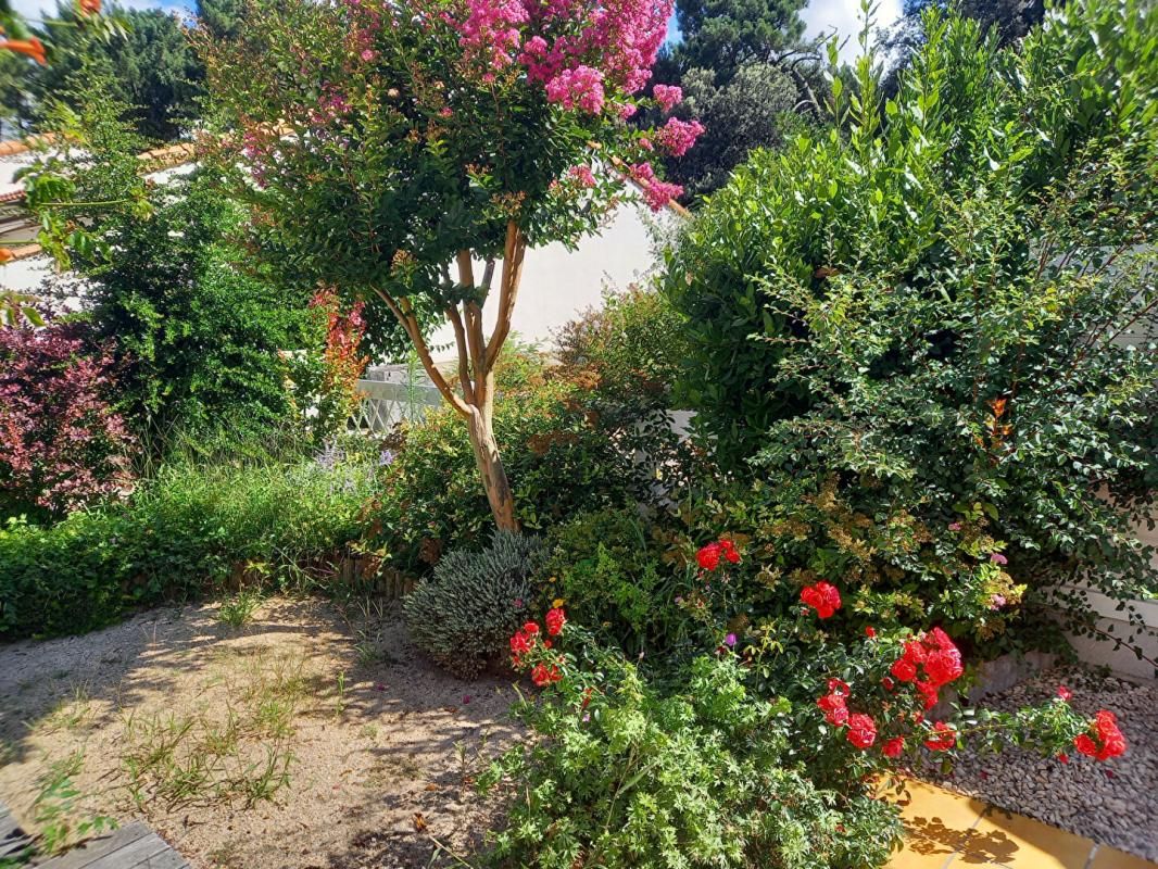 SAINT-GEORGES-DE-DIDONNE Appartement Maisonnette 4