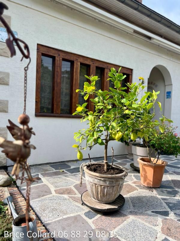 CAUFFRY 60290 CAUFFRY Grande maison familiale 6 chambres sur sous-sol total + 2 garages 3
