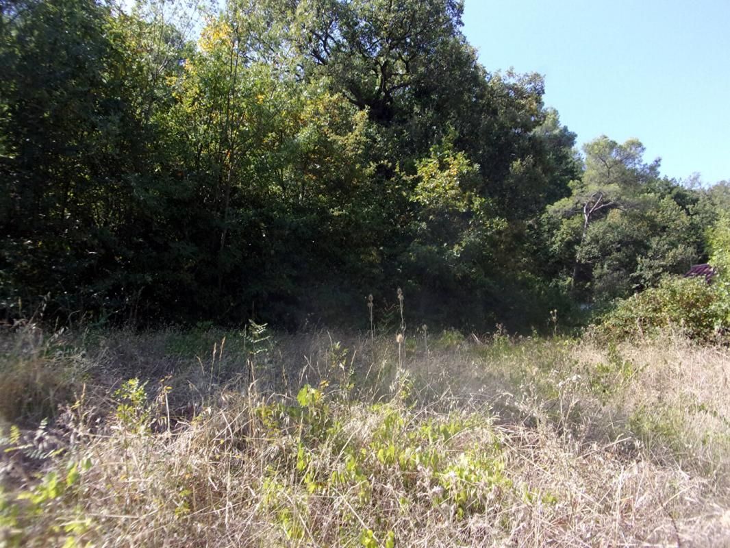 LIAUSSON Magnifique terrain constructible viabilisé, 2354 m2, Liausson , vue sur le Salagou 3