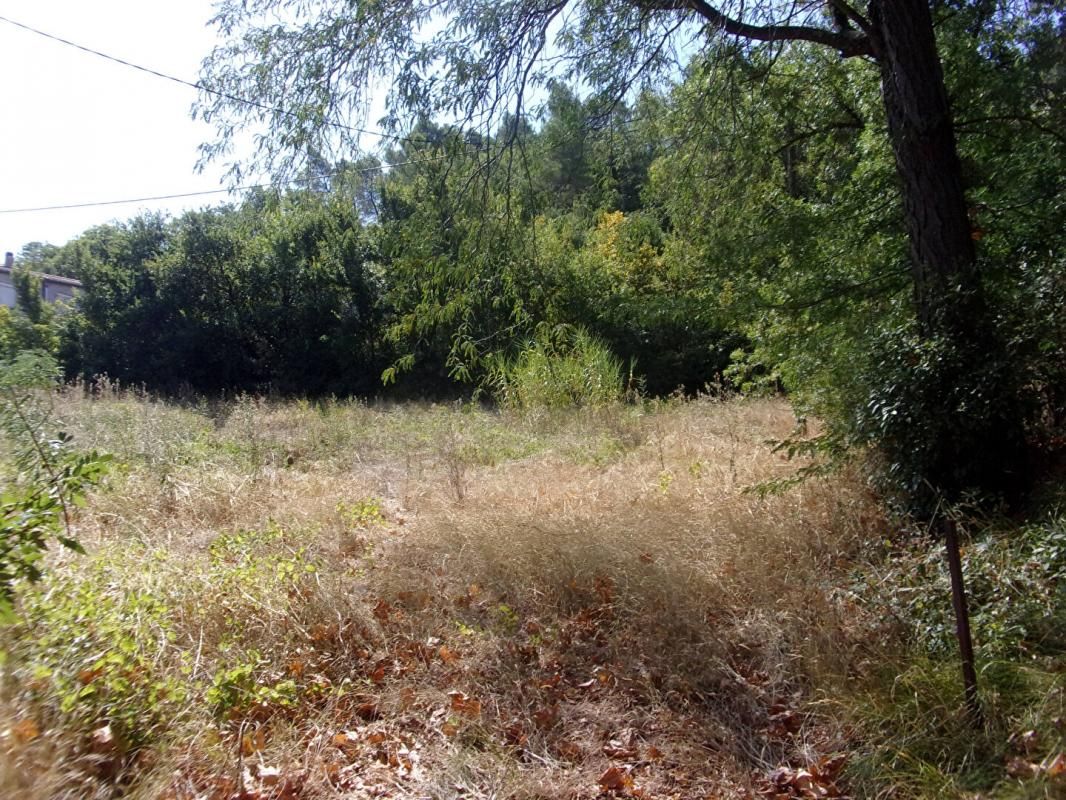 LIAUSSON Magnifique terrain constructible viabilisé, 2354 m2, Liausson , vue sur le Salagou 4