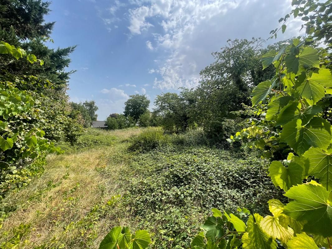 CHATEAU-RENARD Terrain Chateau Renard 1638 m2 1