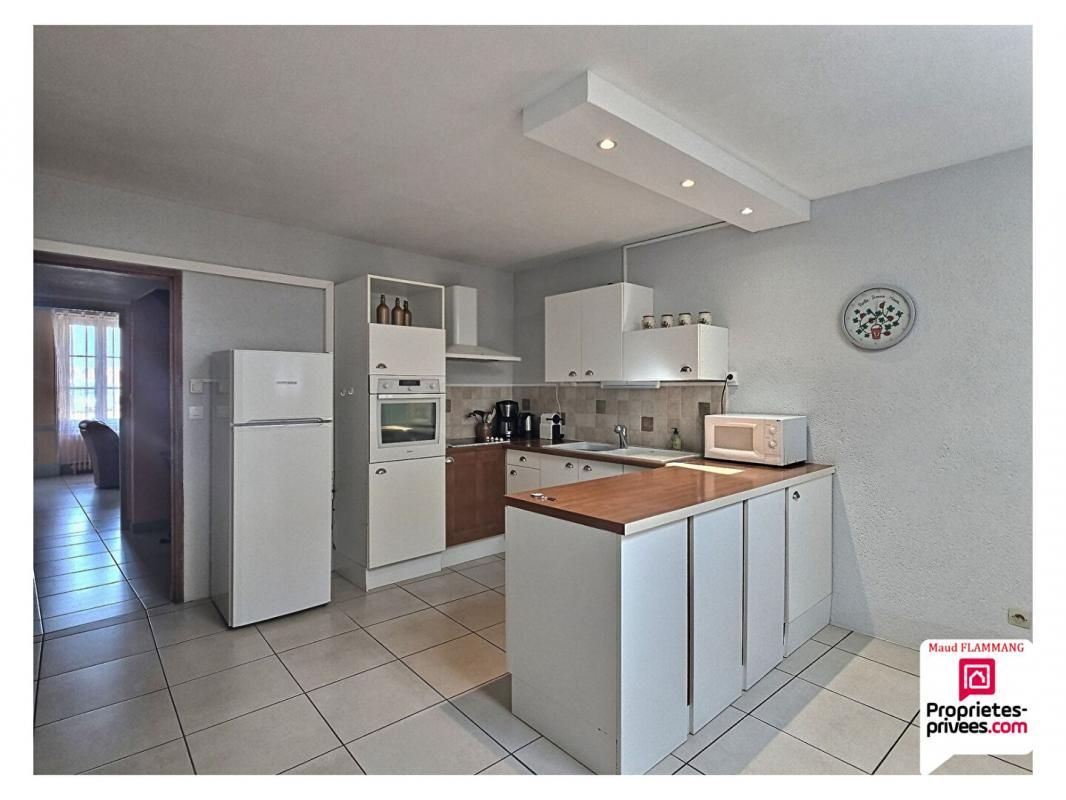 SAINT-JEAN-DE-BRAYE Longère Saint Jean De Braye 6 pièces 200 m2 4