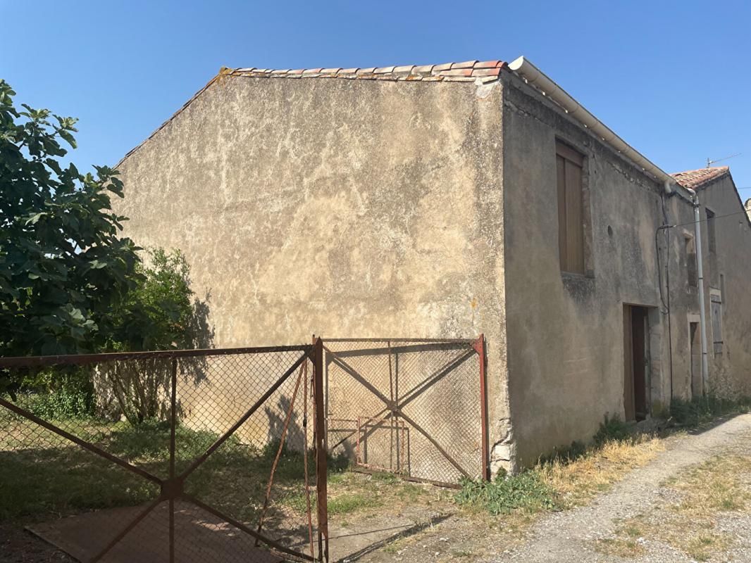 Ancienne cave à vin avec fort potentiel