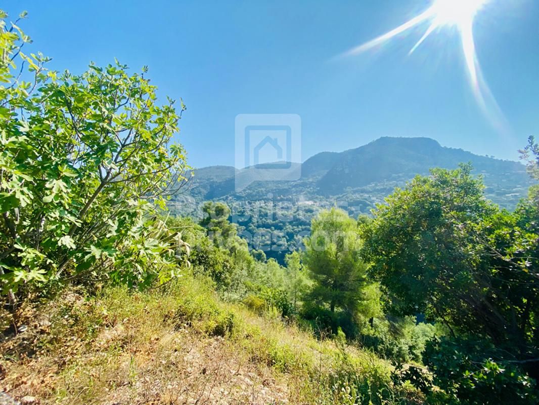 CASTAGNIERS Terrain Castagniers 1400 m2 3