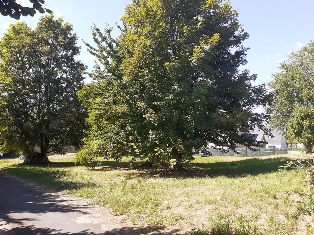 BRION Terrain Brion 1100 m2 4