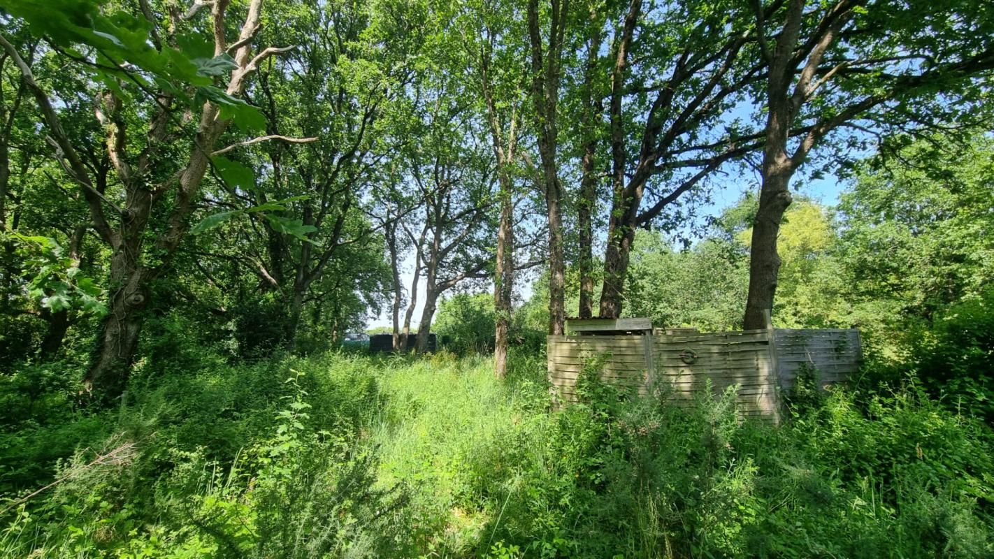 LES SABLES-D'OLONNE Terrain Agricole Viticole Les Sables D Olonne 1