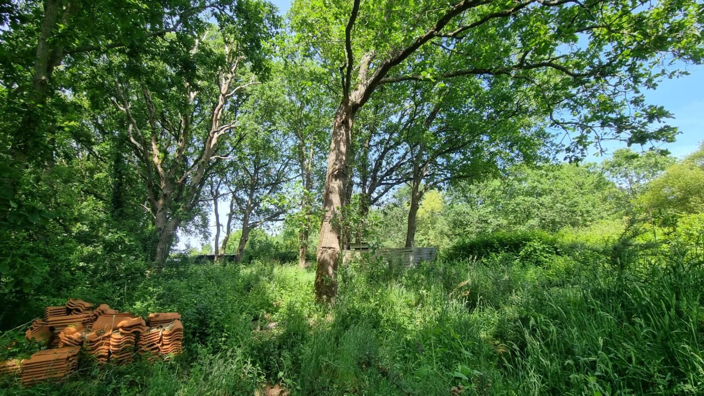 LES SABLES-D'OLONNE Terrain Agricole Viticole Les Sables D Olonne 2