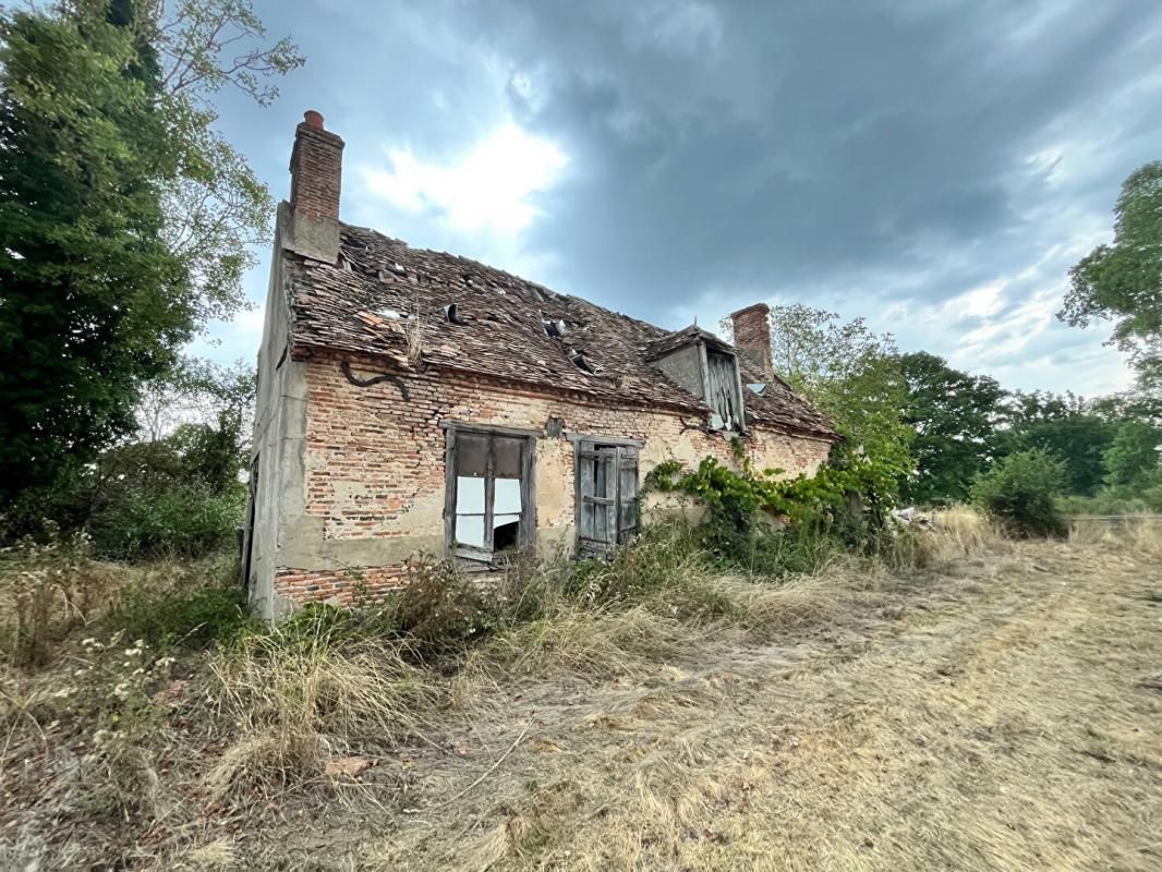 YZEURE Terrain Yzeure 1,5 ha + grange 200 m2 + ancienne maison + dépendances 3