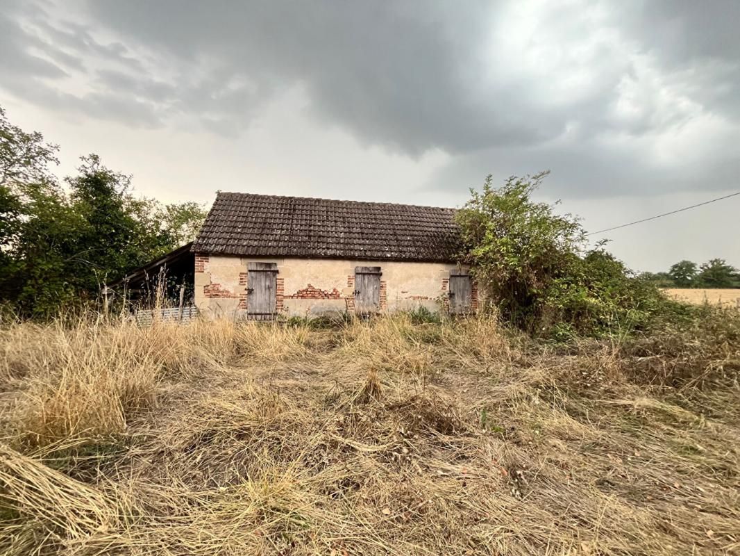 YZEURE Terrain Yzeure 1,5 ha + grange 200 m2 + ancienne maison + dépendances 4