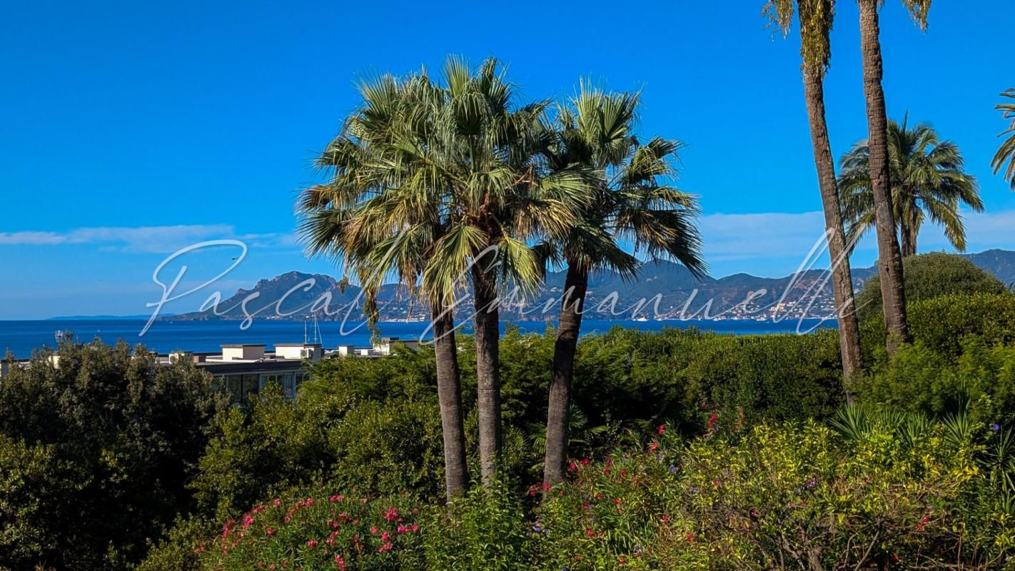 CANNES Appartement Cannes Basse Californie 2 pièce(s) 58 m2 vue mer 2