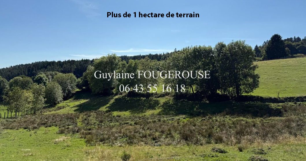 LA CHAPELLE-EN-LAFAYE Maison 1