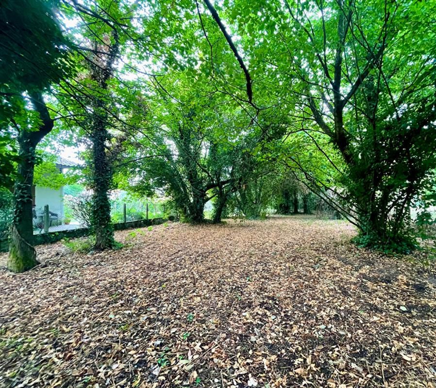 PESSAC Terrain Pessac Pape Clément 2000 m2 2