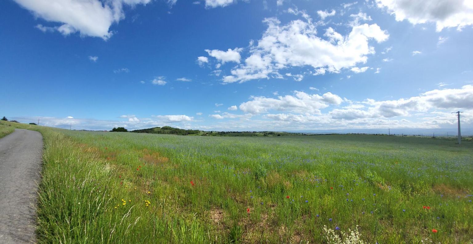SAINT-MARCEL-DE-FELINES Terrain avec belle vue dégagée 3